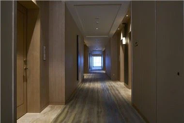 फ़्रेम के साथ होटल सिंगल एंट्री डोर